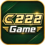 c222 game